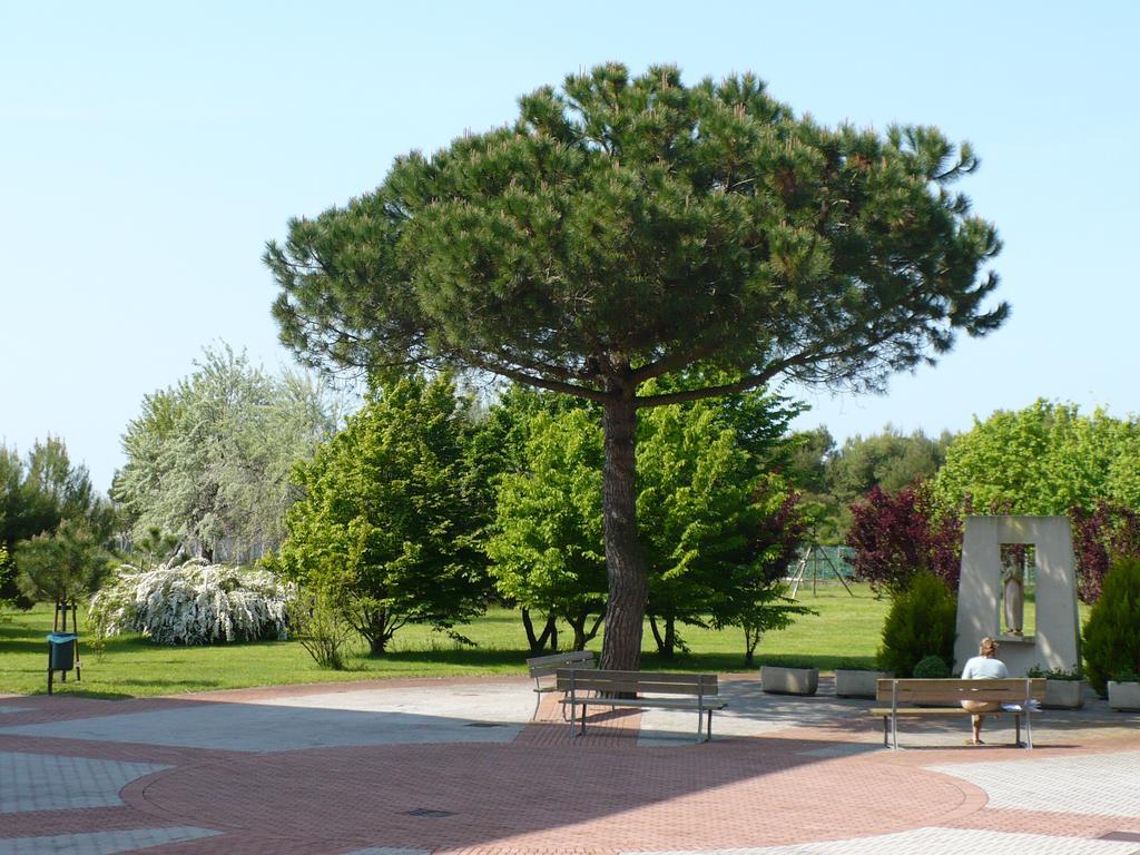 Casa Per Ferie Maria Assunta Otel Lido di Jesolo Dış mekan fotoğraf